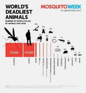 deadliest animals.jpg